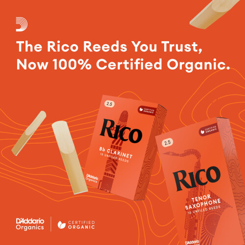 Rico by D'Addario Bb Clarinet Reeds, Strength 2, 3-pack 2