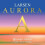 Larsen Aurora Cello 4/4 - A String - Single String - Strong - Tension 17.9kg/ 39.5lbs 1