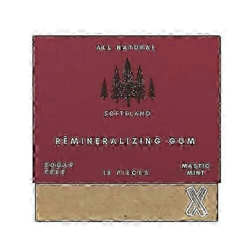 (2pcs) Φυσική τσίχλα αναπλήρωσης μετάλλων με οργανική ξυλιτό