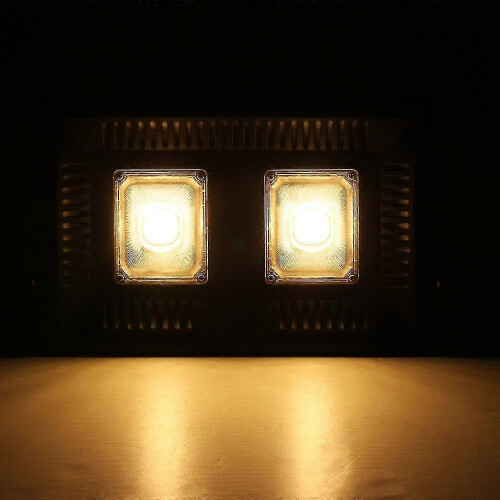 (White Light) Προβολέας LED 50W για εξωτερικό κήπο, τοπίο, προβολέας Ac220v