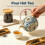 Porcelain Teapot 215ML, Small Kungfu Tea Pot, Spherical Filter 5