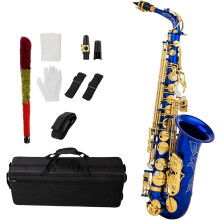 Btuty Saxofone Alto em Latão E Flat, Instrumento de Sopro com Barra de Limpeza, Luvas e Capa