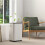 6000mL Portable Dehumidifier with 24H Timer, 3 Dehumidifying Modes, 20L/Day, for Home Laundry Basement 4