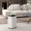 6000mL Portable Dehumidifier with 24H Timer, 3 Dehumidifying Modes, 20L/Day, for Home Laundry Basement 3
