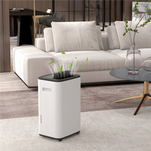 6000mL Portable Dehumidifier with 24H Timer, 3 Dehumidifying Modes, 20L/Day, for Home Laundry Basement 2