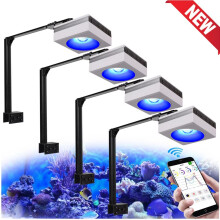 PopBloom RL90, Lampe Aquarium LED WiFi, Plein Spectre, Contrôle App, pour Coraux et Eau Salée