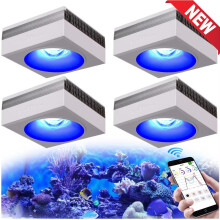 PopBloom RL90, Lampe Aquarium WiFi LED, Plein Spectre, Pour Coraux et Eau Salée, Lot de 4