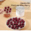 7-Hole Hand Press Cherry Pitter, Multi-Function Fruit Seed Core Remover Portable Kitchen Gadget-White 4