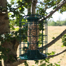 Wing & Wild Squirrel Proof Seed Bird Feeder 29cm - Metal Caged Hanging Seed Feeder, Bottom Fill
