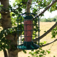 Wing & Wild Squirrel Proof Peanut Feeder 29cm - Metal Caged Hanging Peanut Bird Feeder, Bottom Fill