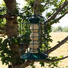 Wing & Wild Squirrel Proof Suet Ball Feeder 29cm - Metal Caged Fat Ball Bird Feeder, Bottom Fill