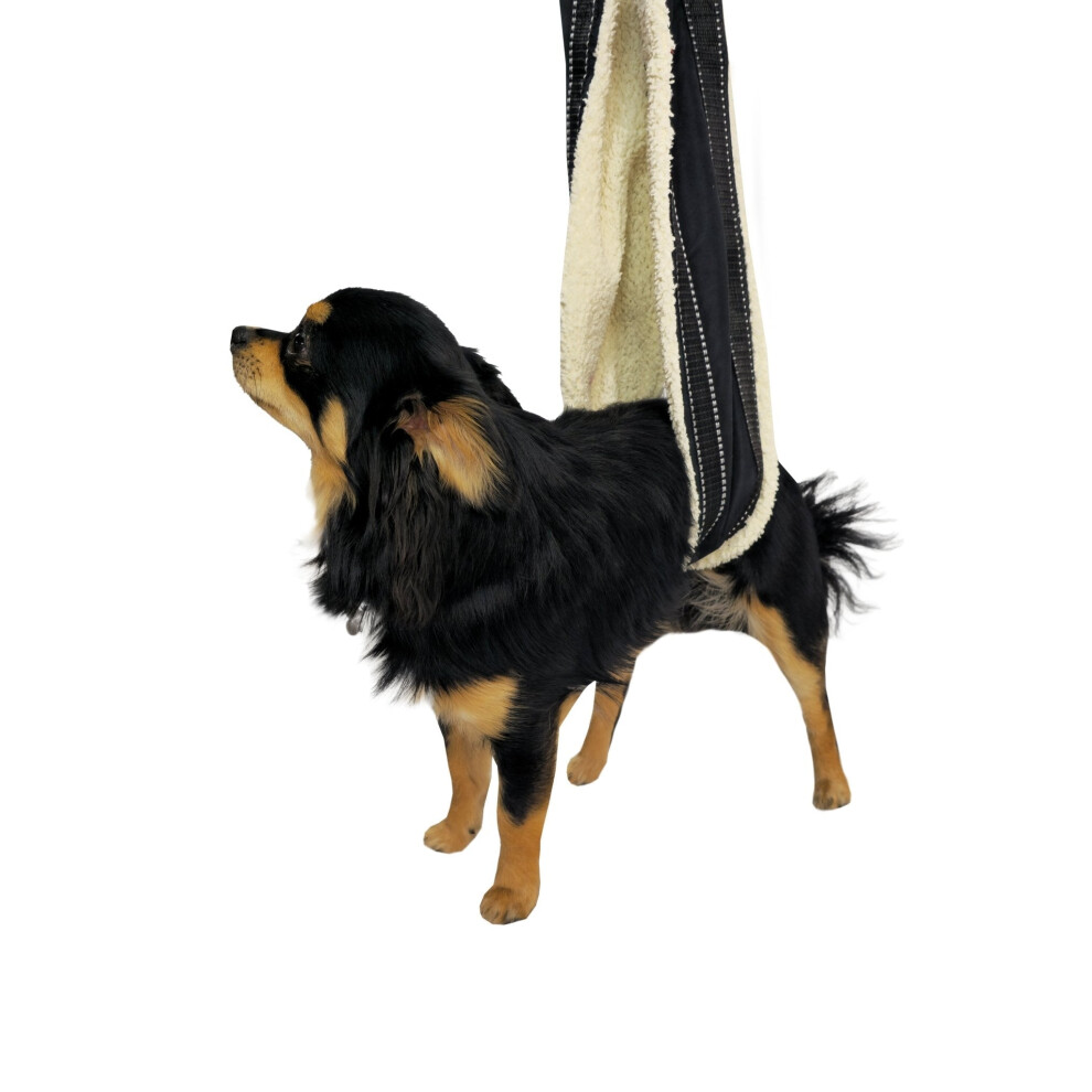 Optimum (Small) Adjustable Ergonomic Dog Harness - Reflective, With Handles | Sport
