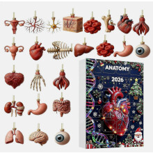 Anatomie Kerst Adventskalender 24 dagen Kerst aftelkalender 24 stuks 2D Organen Menselijk Hart en Hersenen Model Ornamenten