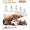 Quiet and Efficient Pet Nail Trimmer with LED Light for Safe Grooming 4