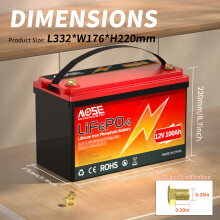 MOSEWORTH LiFePO4 accu, 12V 100Ah, oplaadbaar met BMS voor campingauto en boot