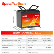 MOSEWORTH LiFePO4 lithium ijzerfosfaat accu, 12V 100Ah, oplaadbaar met BMS voor campingauto en boot