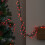 5m 500 LED Globe Cluster Christmas String Lights in Red 1
