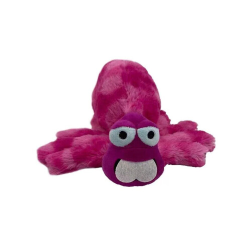(Spider) Back To The Outback knuffelpop cadeau