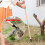 Weeder Tool Stand Up Manual Weed Puller Garden Dandelion Removal Tool 3