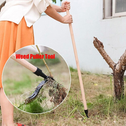 Weeder Tool Stand Up Manual Weed Puller Garden Dandelion Removal Tool 2