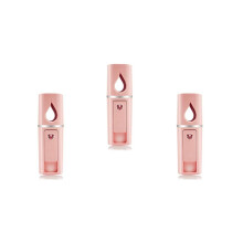 3X Portable Facial Facial Steamer Atomization Eyelash Extensions with Mirror