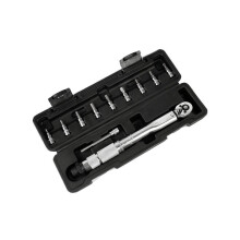 11 PCS Precise Scale Torque Wrench Set 1/4Inch Drive Ratchet Repair Toolbox Kit 5-25Nm Quick-Change