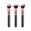 3 τεμάχια πινέλα μακιγιάζ, foundation, πούδρα, concealer, πινέλο α 1