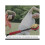 17.5" Long Black Red Plastic Back Knock Scratcher Relaxing Massage Hammer 4