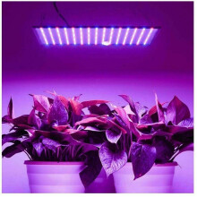 2000W 225 LED kweeklamp voor hydrocultuur, kweeklamp voor planten, groenten en bloemen