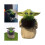 Baby Yoda Flowerpot Παχύφυτα Διακόσμηση Φυτών Μπονσάι 4
