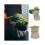 Baby Yoda Flowerpot Παχύφυτα Διακόσμηση Φυτών Μπονσάι 3