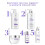 Dove Dove Scalp+Hair Therapy Shampoo 700ml Density & Growth Amino Complex & Biotin 5