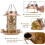 Solar Bird Feeder 3