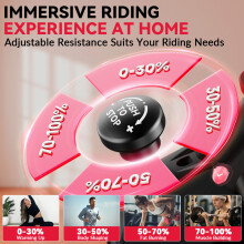 D Indoor Cycling Bike 8kg Flywheel Adjustable Resistance
