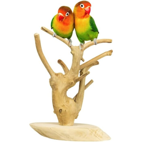 AVA Mini Tree, árvore de Java com base em Coffeewood-XS para papagaios