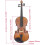 YoungMonic viola acústica de 16.5 polegadas, madeira de abeto e freixo, com acessórios de ébano 9