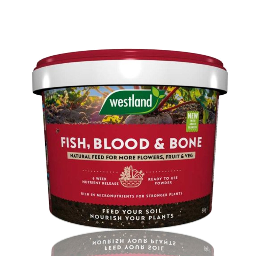 Westland Fish Blood And Bone Natural Fertiliser 8Kg - Brown - Image 2