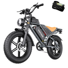 DEEPOWER Vélo électrique S7 20 pouces, 250W, Batterie 48V 35Ah, 7 vitesses, Freins à disque, pour livraison de repas