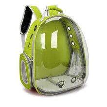 Sac Ă dos respirant pour chat, 45x35x25cm, sac de voyage portable pour animaux de compagnie, Vert