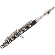 Eastar Flauta Piccolo C, metal, com estojo de transporte e kit de limpeza, para estudantes principiantes