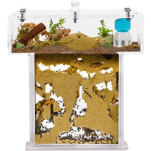 Kit de Formigueiro de Areia em Acrílico Mini Sándwich 14x5x14cm com Caixa de Forrageamento e Formigas Vivas