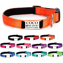 Ibera Gifts Colar para Cão e Gato Personalizado, Refletor, Ajustável 22 a 30 cm, Laranja, XS Muito Pequeno
