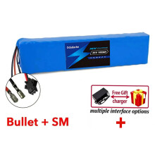 Oplaadbare lithiumbatterij, 36V 100Ah, 1000W vermogen, met BMS, voor elektrische scooter en e-bike