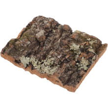 POPETPOP Casca de Cortiça Natural para Terrários, Aquários e Decoração de Paredes