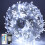 Twinkle Star Twinkle Star 10m 500 LED Cool White Cluster Fairy Lights with Remote Timer 1