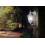 EGLO Eglo Laterna 5 Outdoor wall Light 4