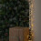2.5m 250 LED Globe Cluster Christmas String Lights in Warm White 5