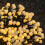2.5m 250 LED Globe Cluster Christmas String Lights in Warm White 7