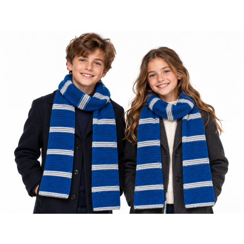Harry Potter Harry Potter Self-Striping Scarf Yarn - Ravenclaw 2