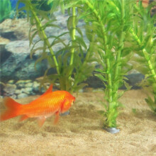 25 Pcs Aquarium Plant Weights, Plant Weights for Fish Tank, Anchors , Stops Plants From Floating in the Aquarium.